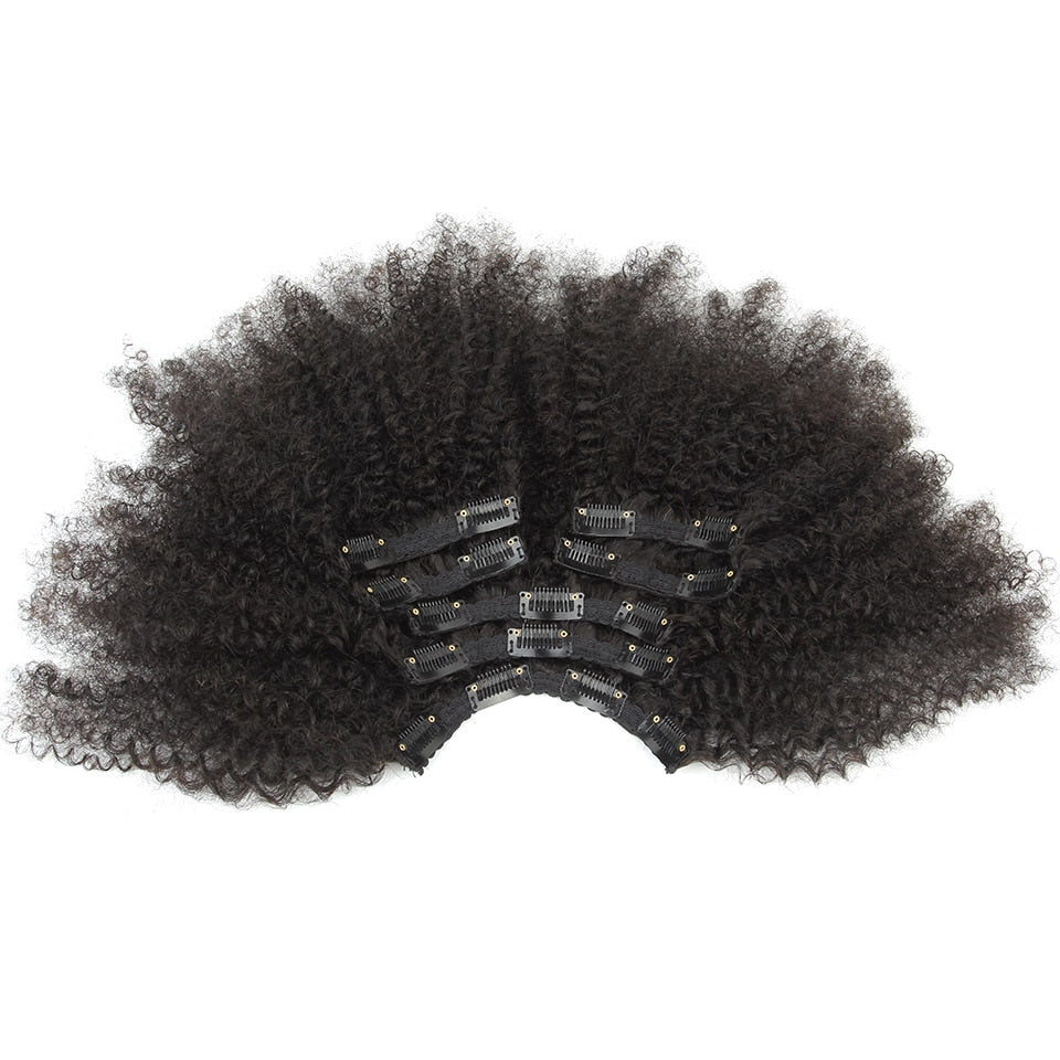 Brazilian Afro Kinky Hair Clip-ins